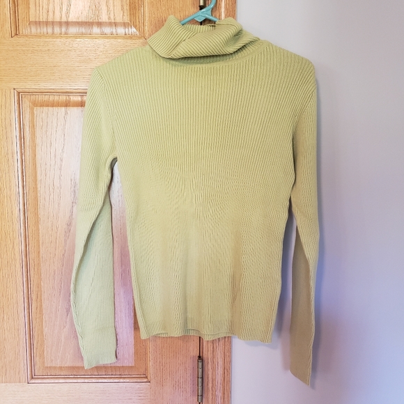 Christopher & Banks Turtleneck - Picture 1 of 3